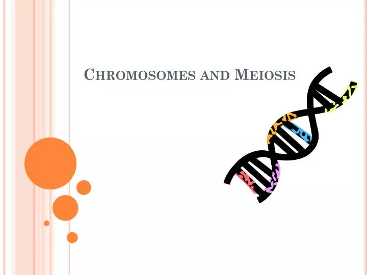 chromosomes and meiosis