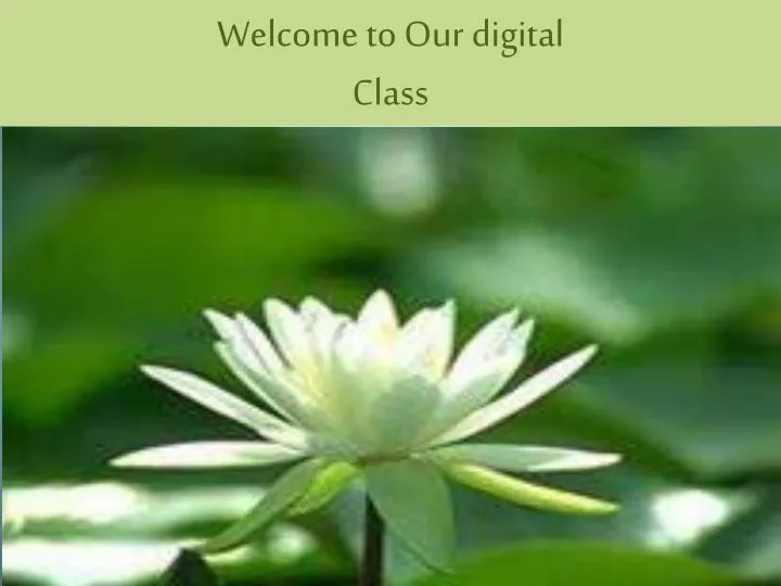 welcome to our digital class