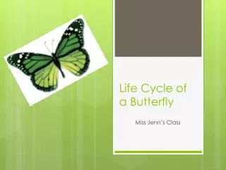 Life Cycle of a Butterfly