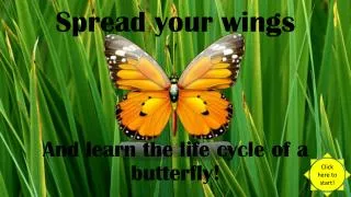 Spread your wings