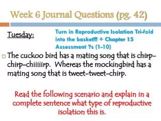 Week 6 Journal Questions (pg. 42)