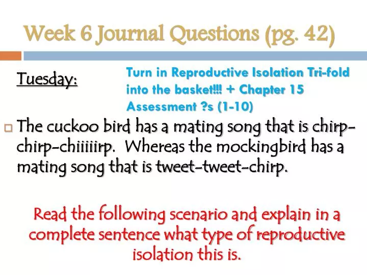 week 6 journal questions pg 42