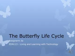 The Butterfly Life Cycle