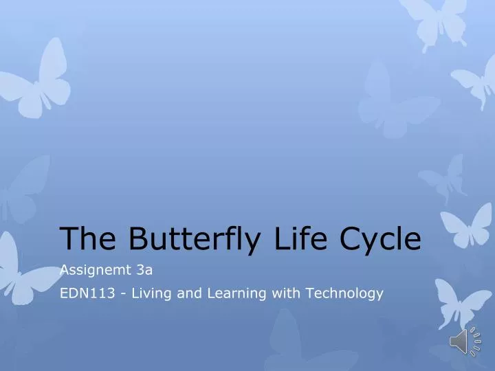 the butterfly life cycle