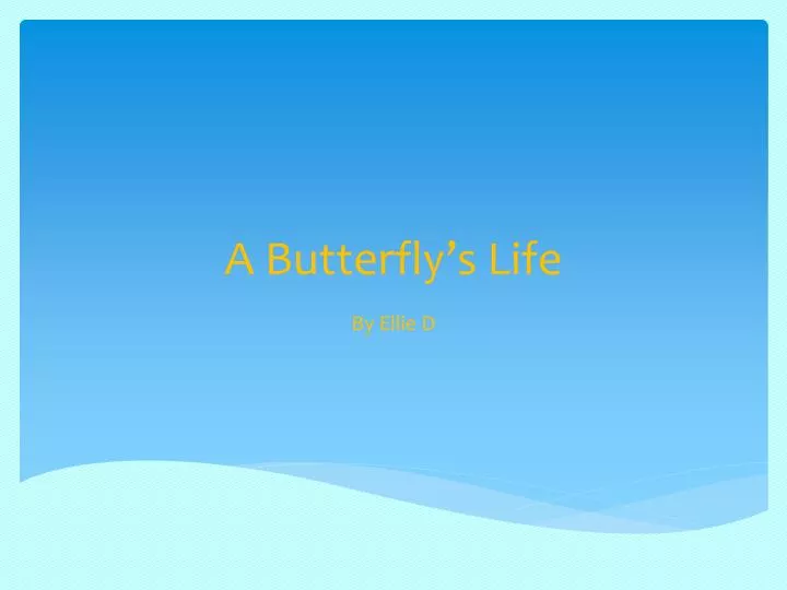 a butterfly s l ife