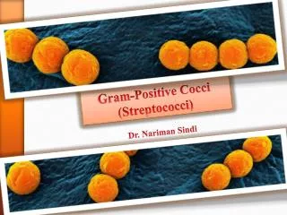 Gram-Positive Cocci (Streptococci)