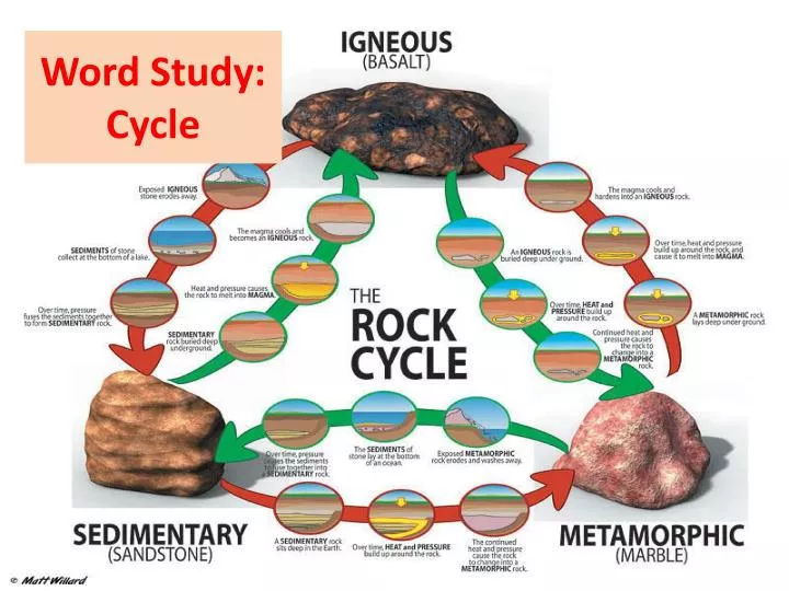 word study cycle