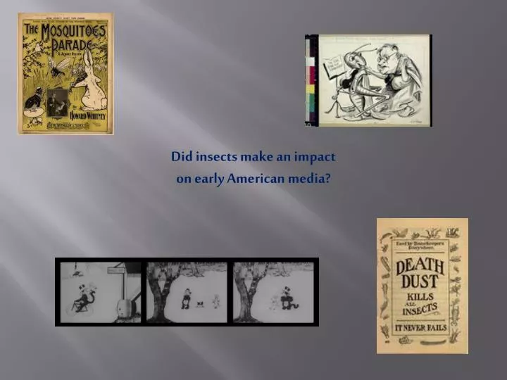 did insects make an impact on early american media