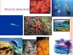 Marine biologist - slide 1