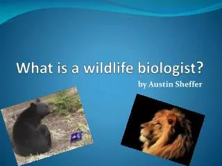 What is a wildlife biologist ?