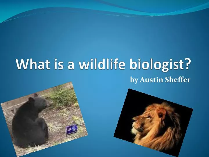 what is a wildlife biologist