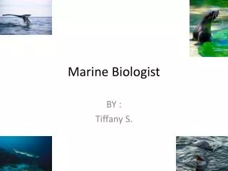 M arine Biologist