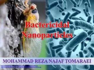 Bactericidal Nanoparticles