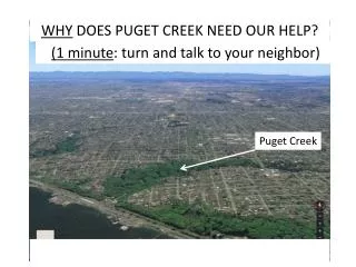 WHY DOES PUGET CREEK NEED OUR HELP?