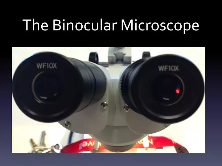 the binocular microscope
