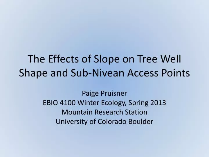 the effects of slope on tree well shape and sub nivean access points