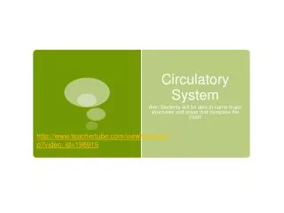 circulatory system