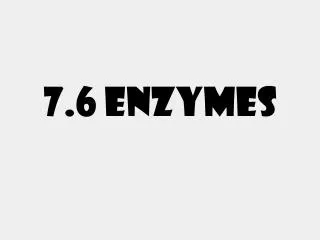 7.6 Enzymes