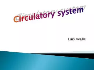 circulatory system