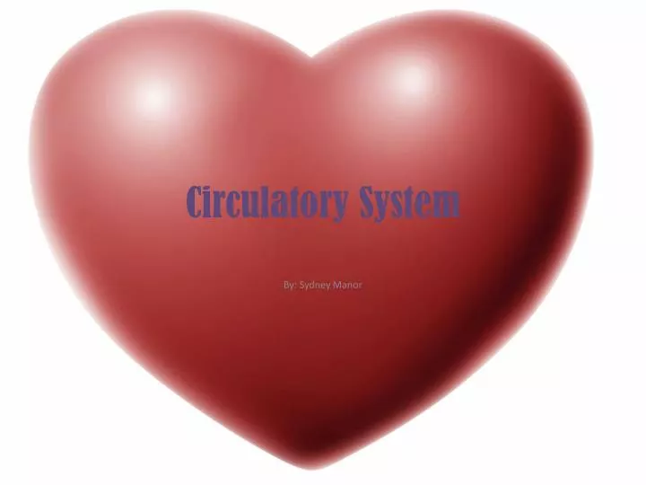 circulatory system