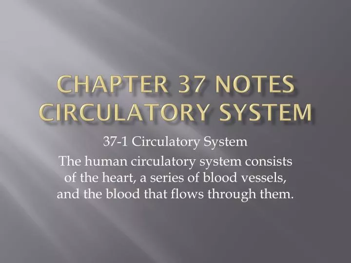 chapter 37 notes circulatory system