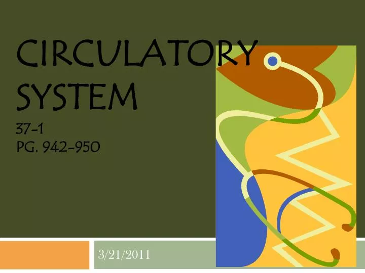 circulatory system 37 1 pg 942 950