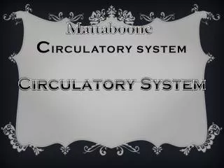 C irculatory System