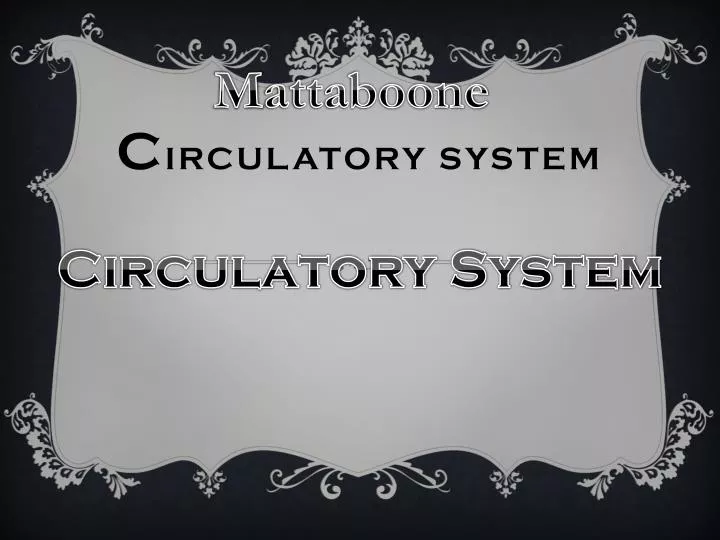 c irculatory system