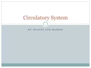 circulatory system
