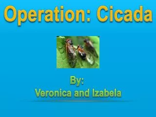 Operation: Cicada