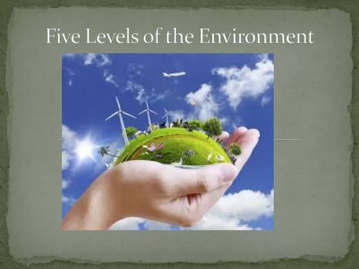 five levels of the environment