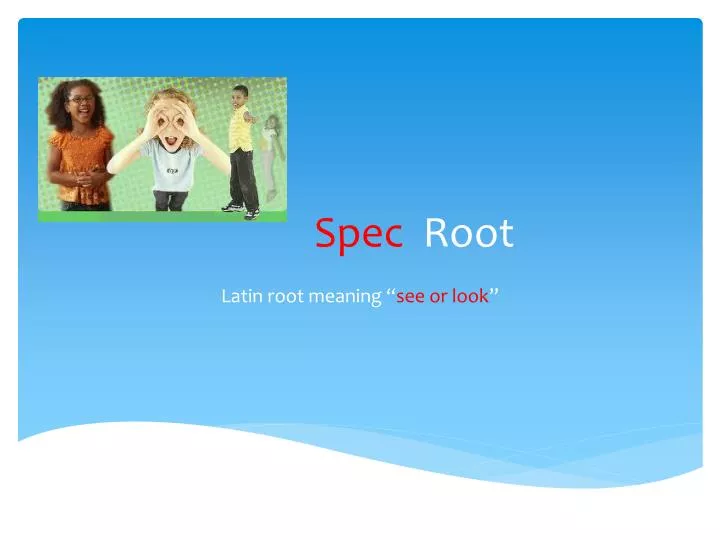 spec root