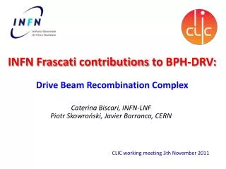 INFN Frascati contributions to BPH-DRV: