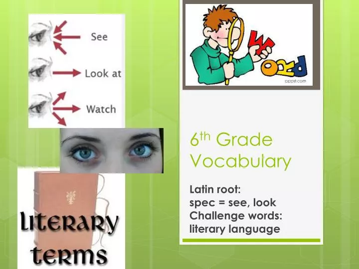 6 th grade vocabulary