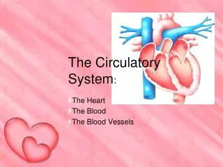 The Circulatory System :