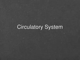 circulatory system