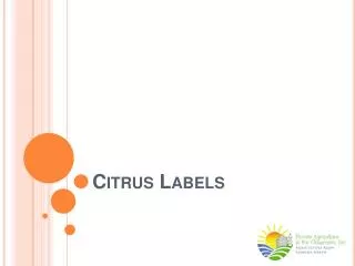 Citrus Labels
