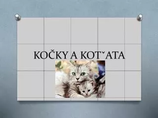ko ky a kot ata