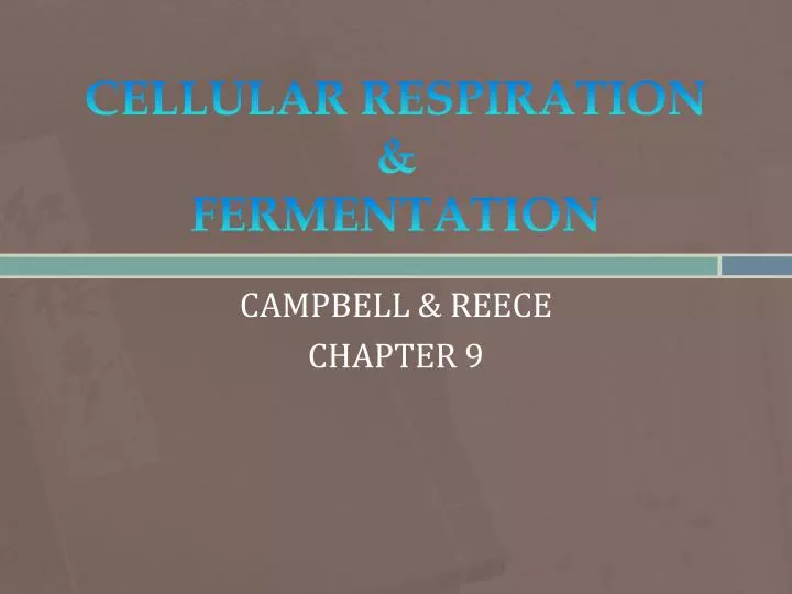 cellular respiration fermentation