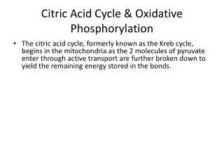 Citric Acid Cycle &amp; Oxidative Phosphorylation