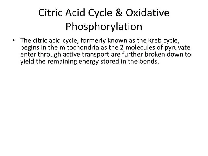 citric acid cycle oxidative phosphorylation