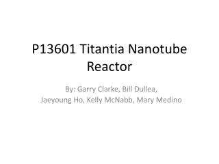 P13601 Titantia Nanotube Reactor