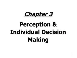 Chapter 3 Perception &amp; Individual Decision Making
