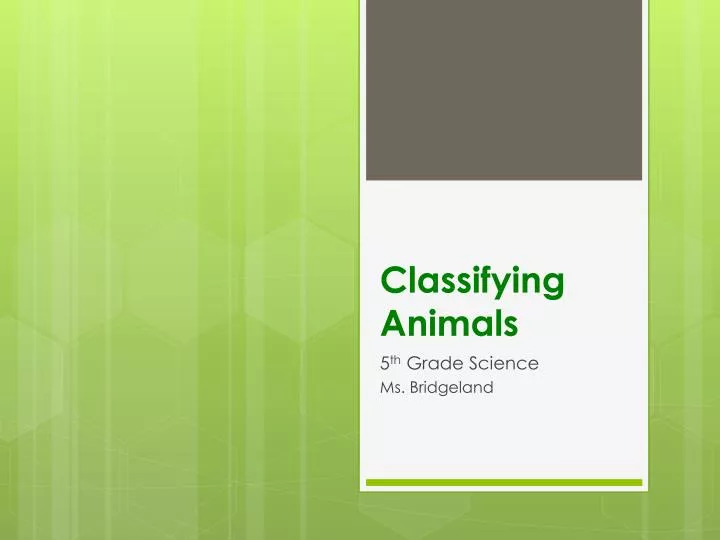 classifying animals