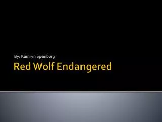 Red Wolf Endangered