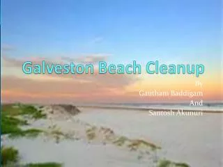 Galveston Beach Cleanup