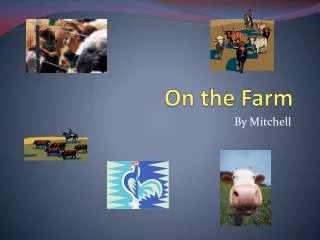 on the farm