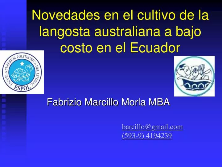 novedades en el cultivo de la langosta australiana a bajo costo en el ecuador