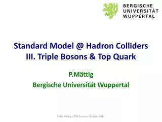 Standard Model @ Hadron Colliders III. Triple Bosons &amp; Top Quark