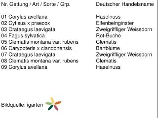 Nr. Gattung / Art / Sorte / Grp . 		Deutscher Handelsname 01 Corylus avellana 				Haselnuss